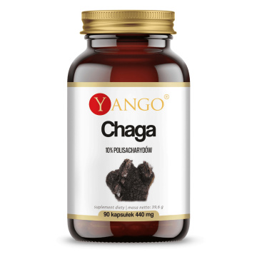 YANGO Chaga ekstrakt 10% polisacharydów, 90 kapsułek