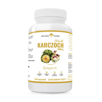 Alto Pharma, Karczoch ekstrakt 600 mg, 120 kapsułek