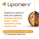 Liponerv, 30 kapsułek