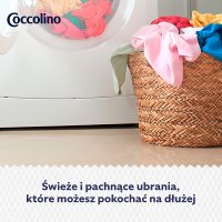 Coccolino Orange Rush, płyn do płukania tkanin, koncentrat, 1,7l