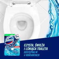 Domestos Ocean Kostka WC Power 5 koszyk  55g