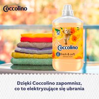 Coccolino Orange Rush, płyn do płukania tkanin, koncentrat, 1,7l