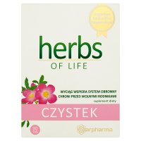 Herbs of Life, Czystek, tabl., 30 szt