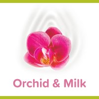 Palmolive Żel pod prysznic Czarna Orchidea 500ml